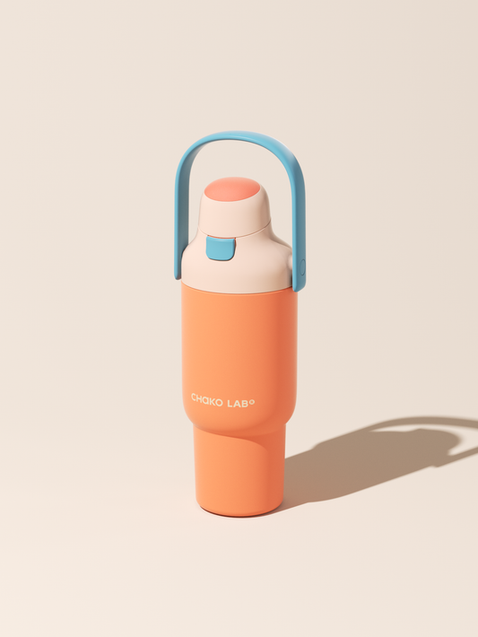 CarryGo in Orange